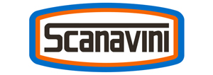 logo scanavini